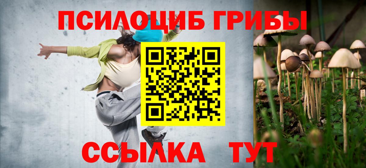 Галлюциногенные грибы мухоморы Псков