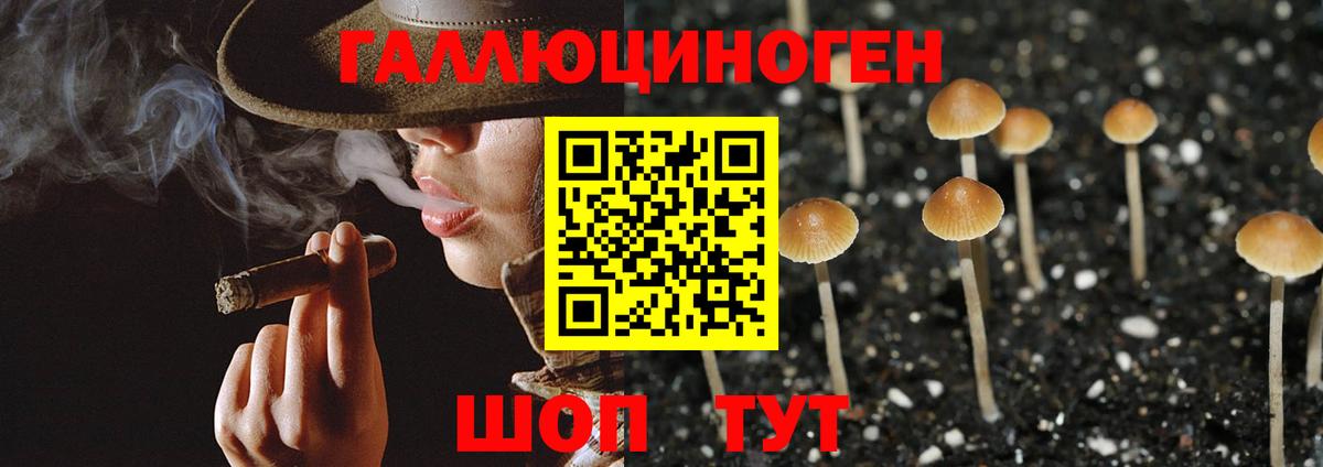 Псков  Псилоцибиновые грибы мицелий  Вход с VPN 